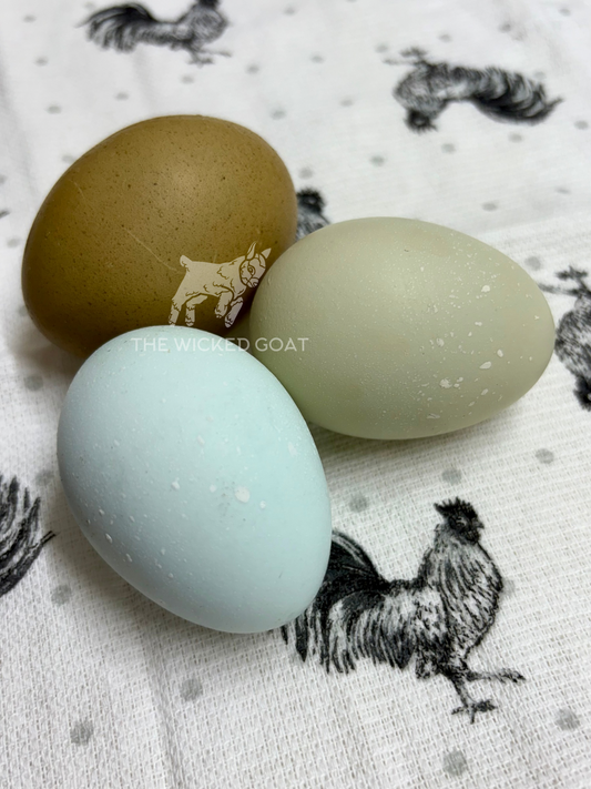 Wicked Polka Dots Chick