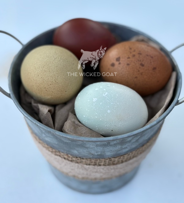 Rainbow Hatching Eggs