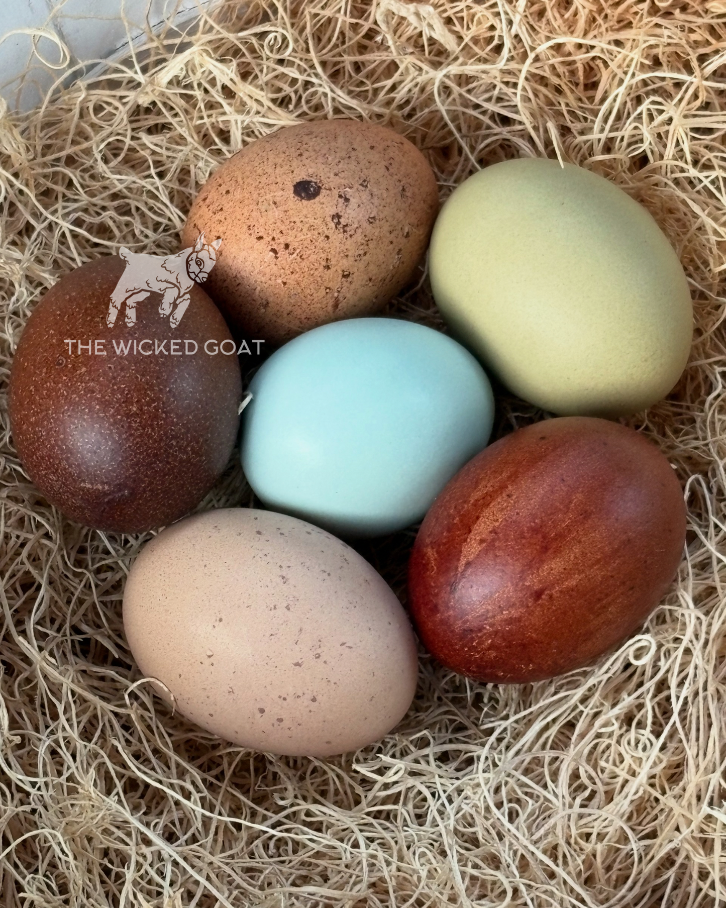 Rainbow Hatching Eggs