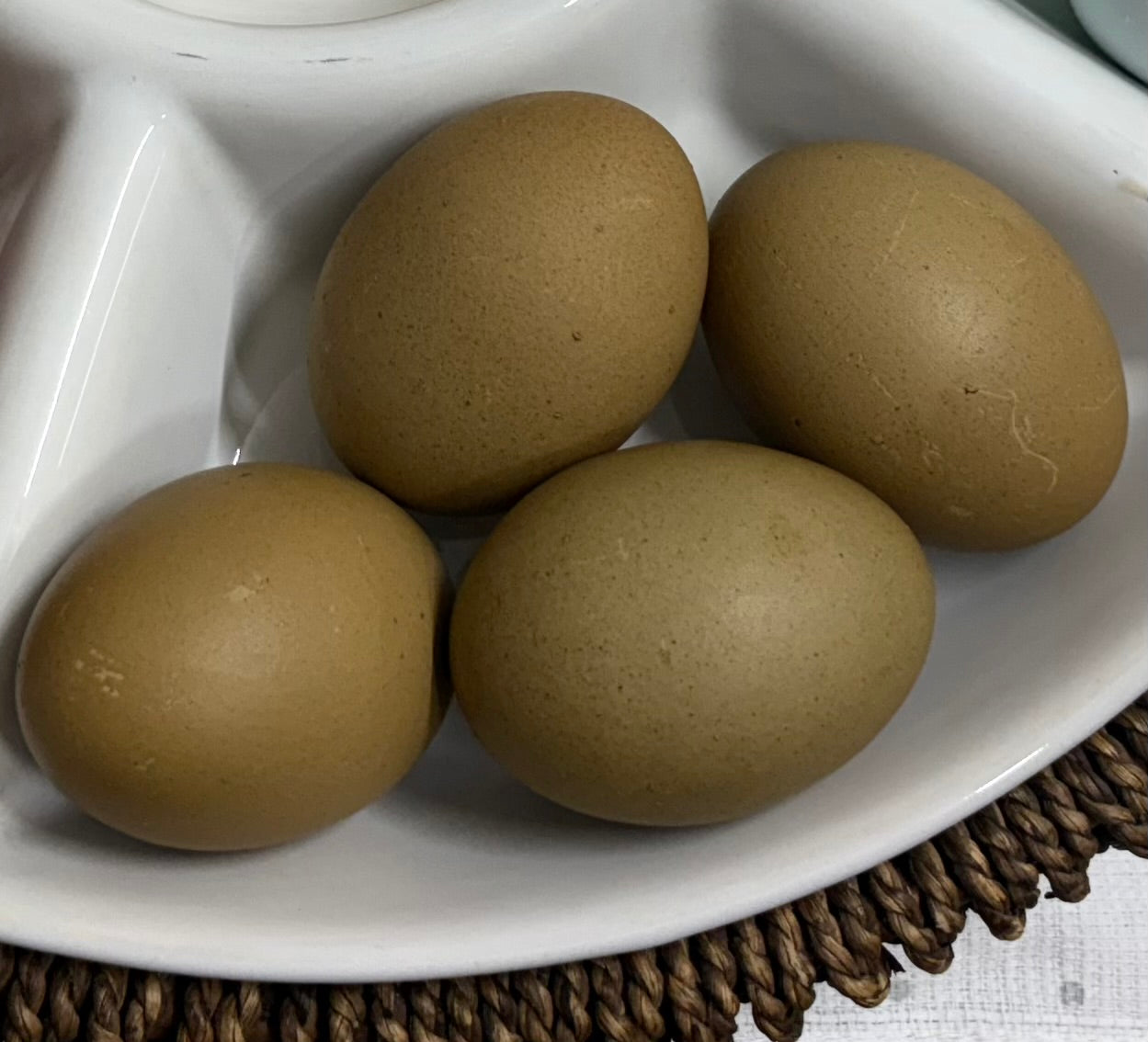 BC2 Olive Egger Chick